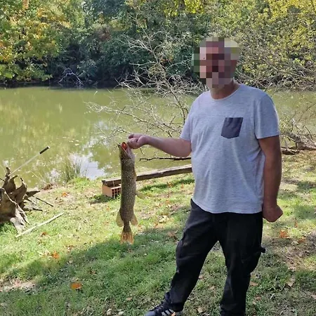 Le Havre Du Ferienhaus